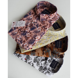 Long Sleeve shirts