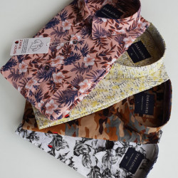 Long Sleeve shirts