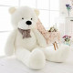 Lovely Teddy Bear