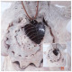Jewelry - Code Necklace made coconut shell in Very excellent export quality condition. 4th part Jewelry - Code Necklace made coconut shell in Very excellent export quality condition. 4th part