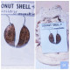 Coconut shell Earrings - Part 01