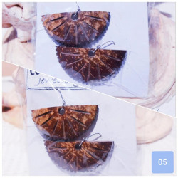 Coconut shell Earrings - Part 01