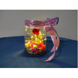 Valentine's Gift,Light Up LED Night Light,Sparkle