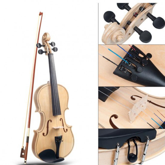 Violin