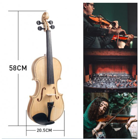 Violin
