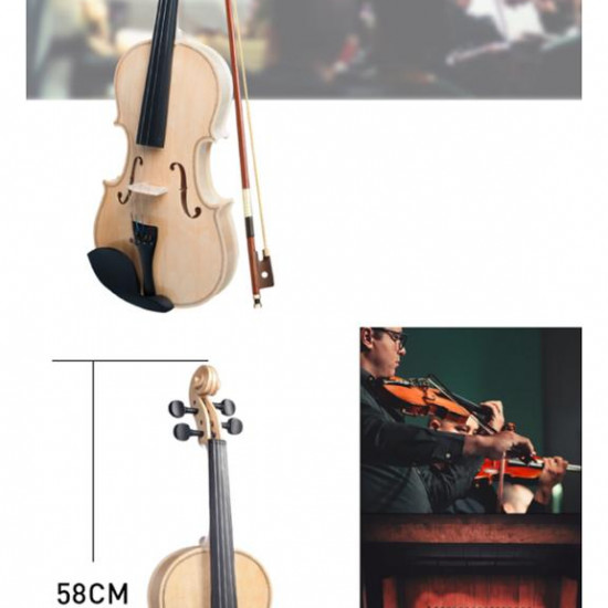 Violin