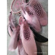 dream catchers dream catchers