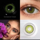 CL Contact Lenses CL Contact Lenses