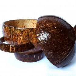 Coconut shell Bowl with Lid