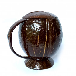 Coconut shell Mug