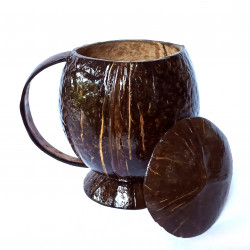 Coconut shell Mug