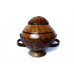 Coconut shell - Medicine Container