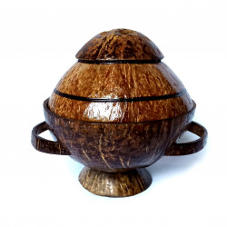 Coconut shell - Medicine Container