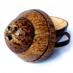 Coconut shell - Medicine Container