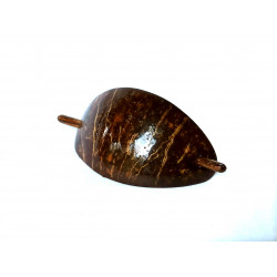Coconut shell Hair Clip
