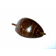 Coconut shell Hair Clip