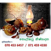 Medawaththa Vidanage