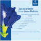 Nirodha Butterfly Pea Tea Nirodha Butterfly Pea Tea
