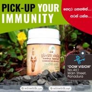 PULATISI PETHI පුලතිසි පෙති (PICKUP ONLY)