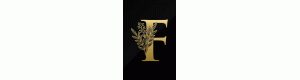 fashion land