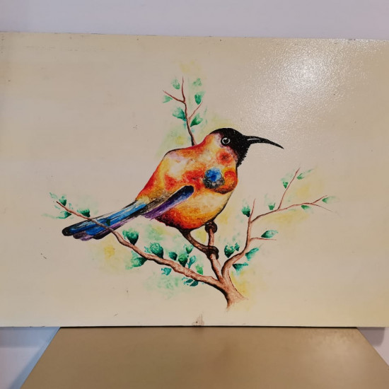 BIRD BIRD