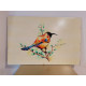 BIRD BIRD