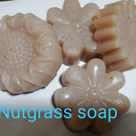 NUTGRASS SOUP (HERBEL & NATURAL) NUTGRASS SOUP (HERBEL & NATURAL)
