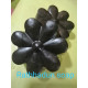 RATHHADUN SOAP (HERBEL) RATHHADUN SOAP (HERBEL)