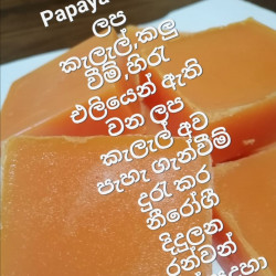 PAPAYA BEAUTY SOAP (HERBEL & NATURAL )