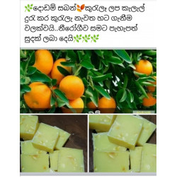 ORANGE BEAUTY SOAP (HERBEL & NATURAL)