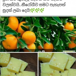 ORANGE BEAUTY SOAP (HERBEL & NATURAL)