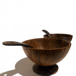 COCONUT SHELL DESERT CUP WITH SPOON