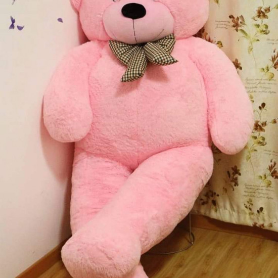 Teddy Bear Teddy Bear