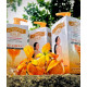 ST DALFOUR VITAMIN C BEAUTYLOTION ST DALFOUR VITAMIN C BEAUTYLOTION