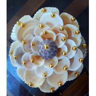 SEA SHELL