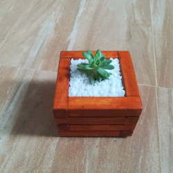 Wooden planter boxes for succulent plants