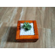 Wooden planter boxes for succulent plants