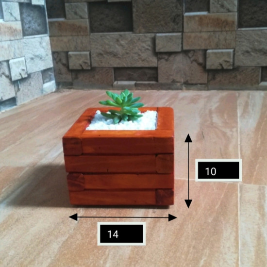Wooden planter boxes for succulent plants