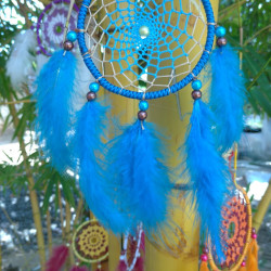 Vehicle Dreamcatcher