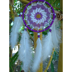 Vehicle Dreamcatcher