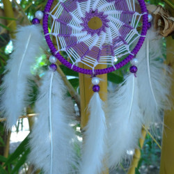 Vehicle Dreamcatcher