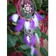 Home Dreamcatcher