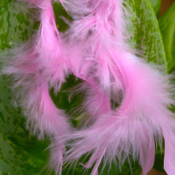 Handmade Feather Earing