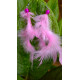 Handmade Feather Earing