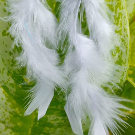 Handmade Feather Earing
