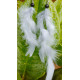 Handmade Feather Earing