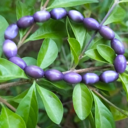 Handmade Glass Pearl Bracelet