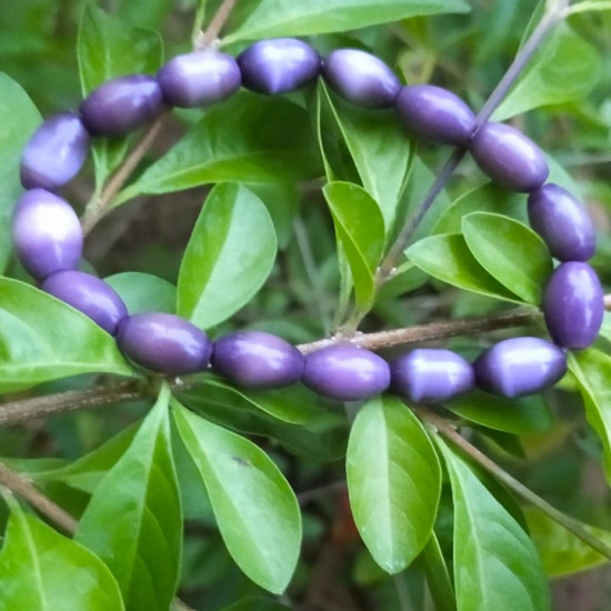 Handmade Glass Pearl Bracelet