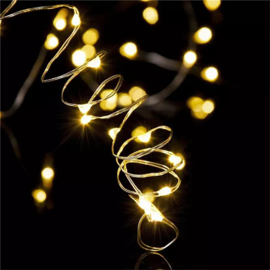 FAIRY LIGHT (with bottle)