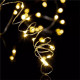 FAIRY LIGHT (with bottle)